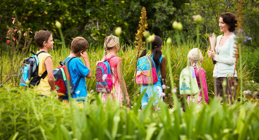 Fizičko zdravlje i šetnja na otvorenom